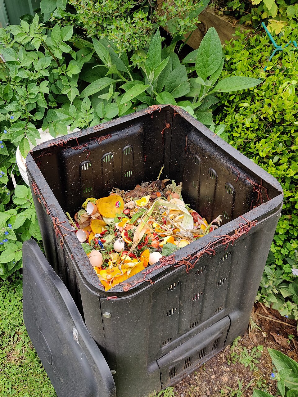 Compost bin filled with decomposing organic matter