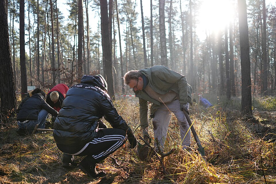 Volunteers planting young trees in a forest clearing