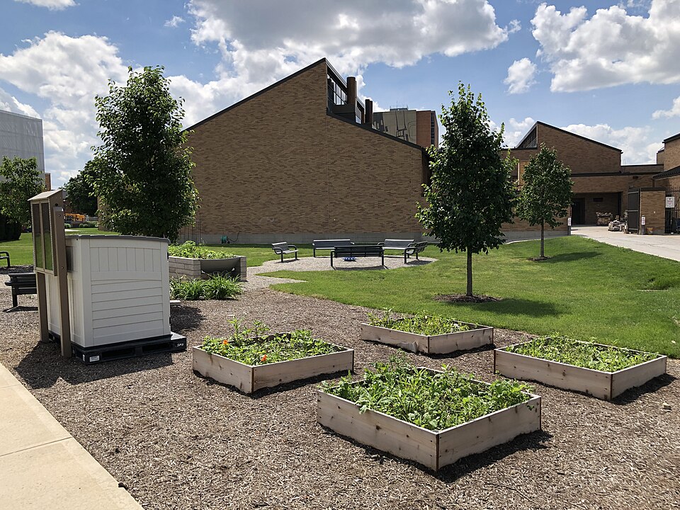 Community garden plots in full summer growth