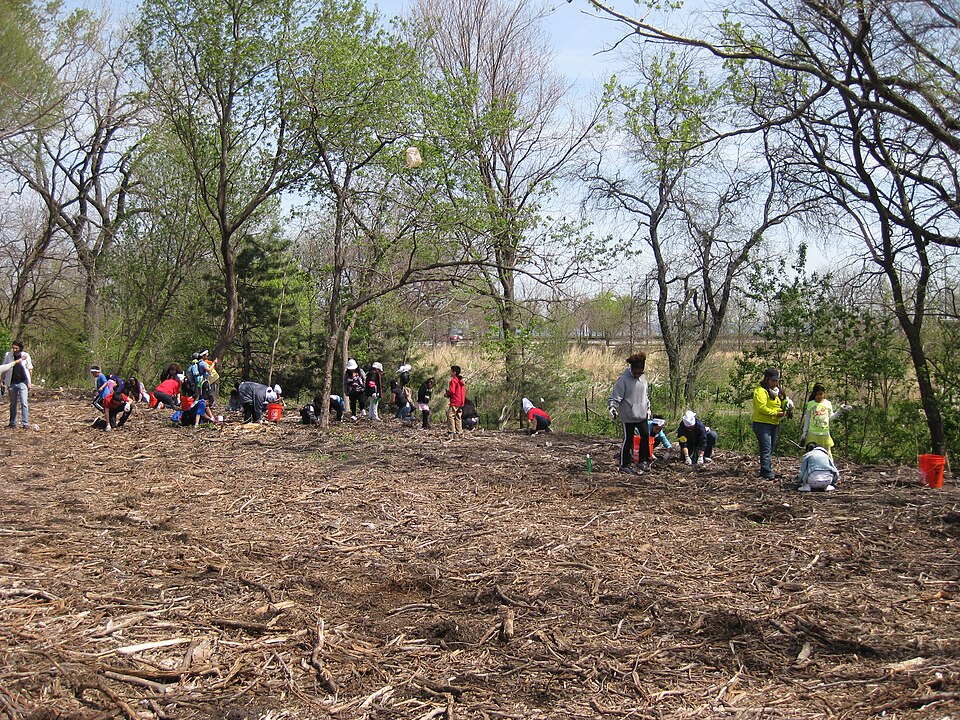 Volunteers planting native species along a wildlife corridor
