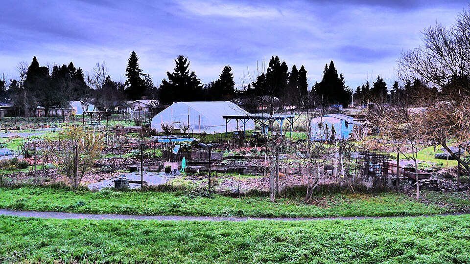 Community garden maintained through the winter months