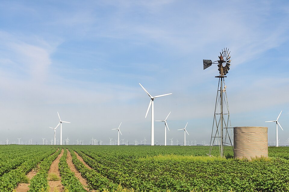 Rows of wind turbines at a large wind farm